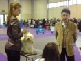 /album/fehova-winter-dog-show/a2013-02-17-11-24-25-copy-jpg/